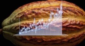 2026 Cocoa Market Outlook: Supply Tightens as Demand Shifts